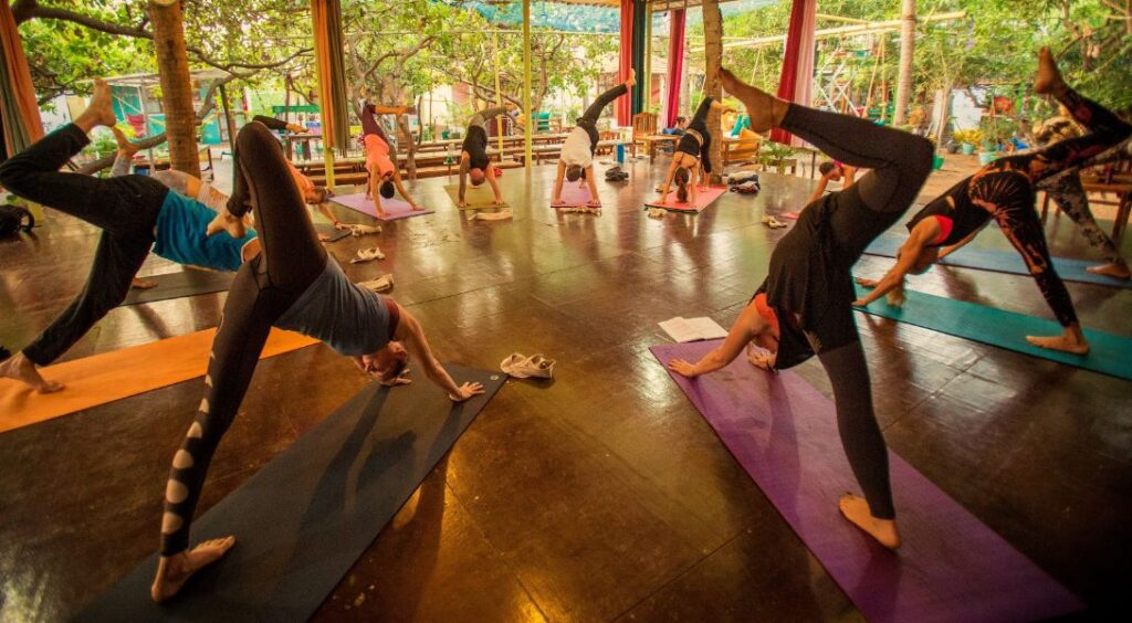 yogashalas, goa