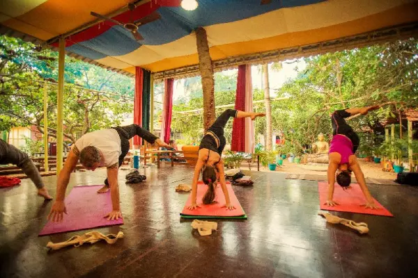 100 Hr Ashtanga Foundation TTC